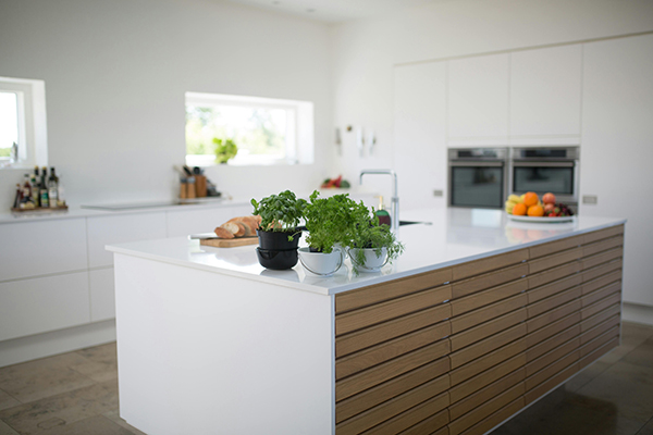 A photo of a kitchen with some green-leafed plants on the counter