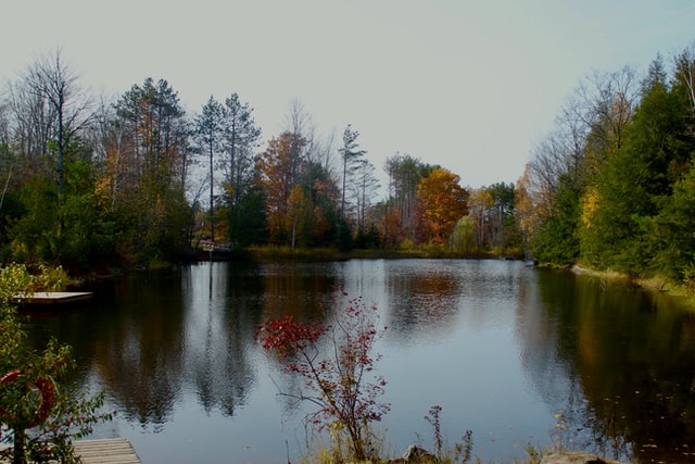 Lake in fall