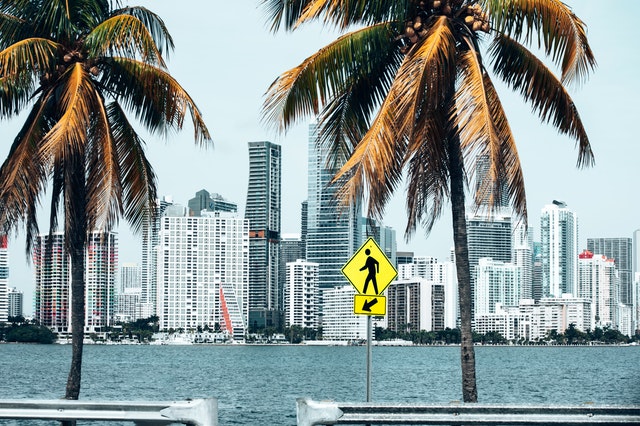 palm trees, sea, and buildings in South Florida