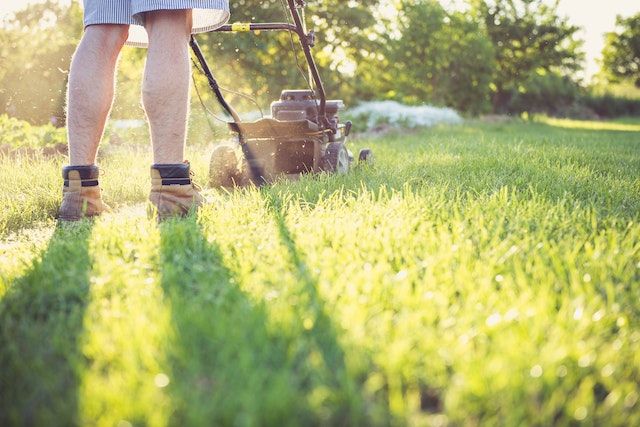 Mowing the lawn with a machine