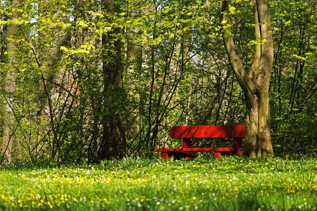 A red bench in a sunny forest.