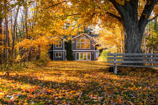 Consider these essential fall maintenance tips for home sellers.